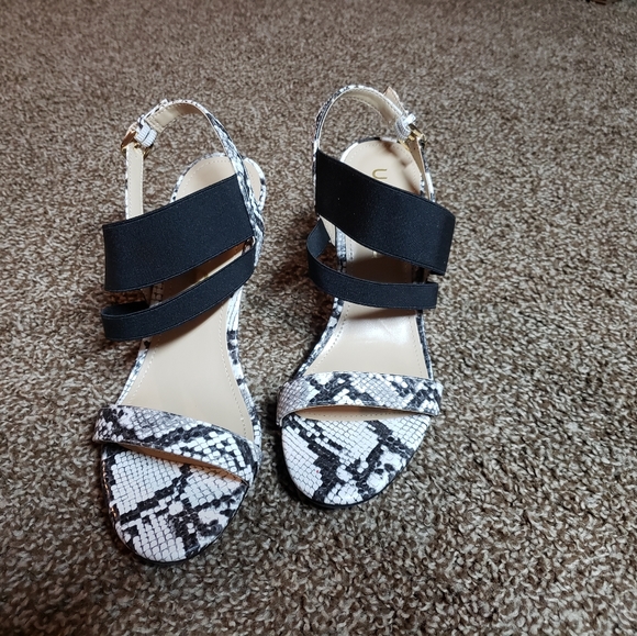 Snake Print Heels - Picture 3 of 9